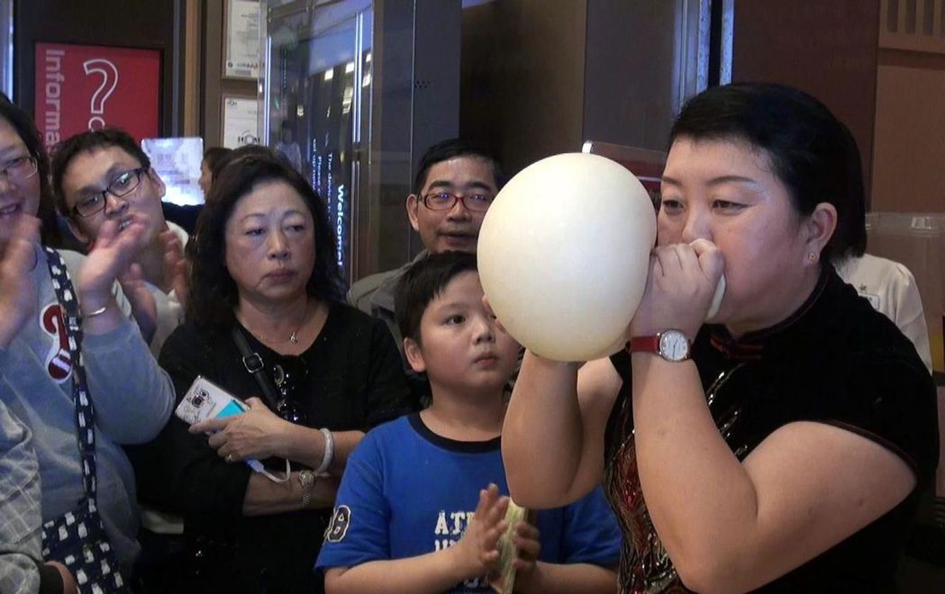 麵吹氣球最大直徑挑戰成功1.8米，獲金氏世界紀錄。記者王昭月／攝影