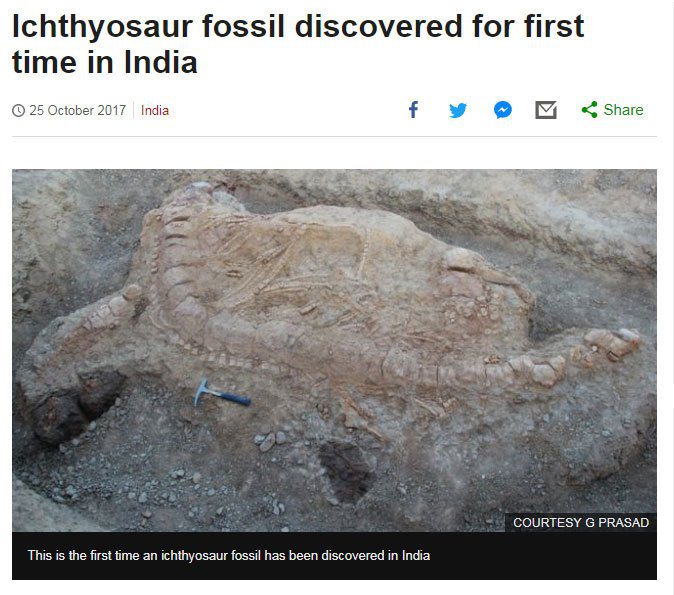 印度科學家成功鑑定，西部沙漠地區發現的一具史前海洋爬行動物化石。 圖擷自BBC