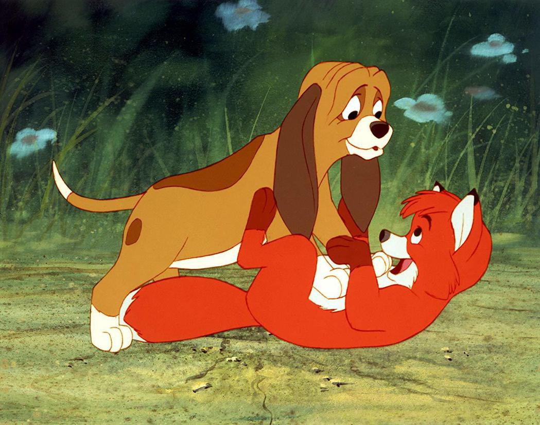 美國人愛養寵物，「狐狸與獵狗」在某些州成為最喜愛的迪士尼經典動畫，不讓人意外。圖...