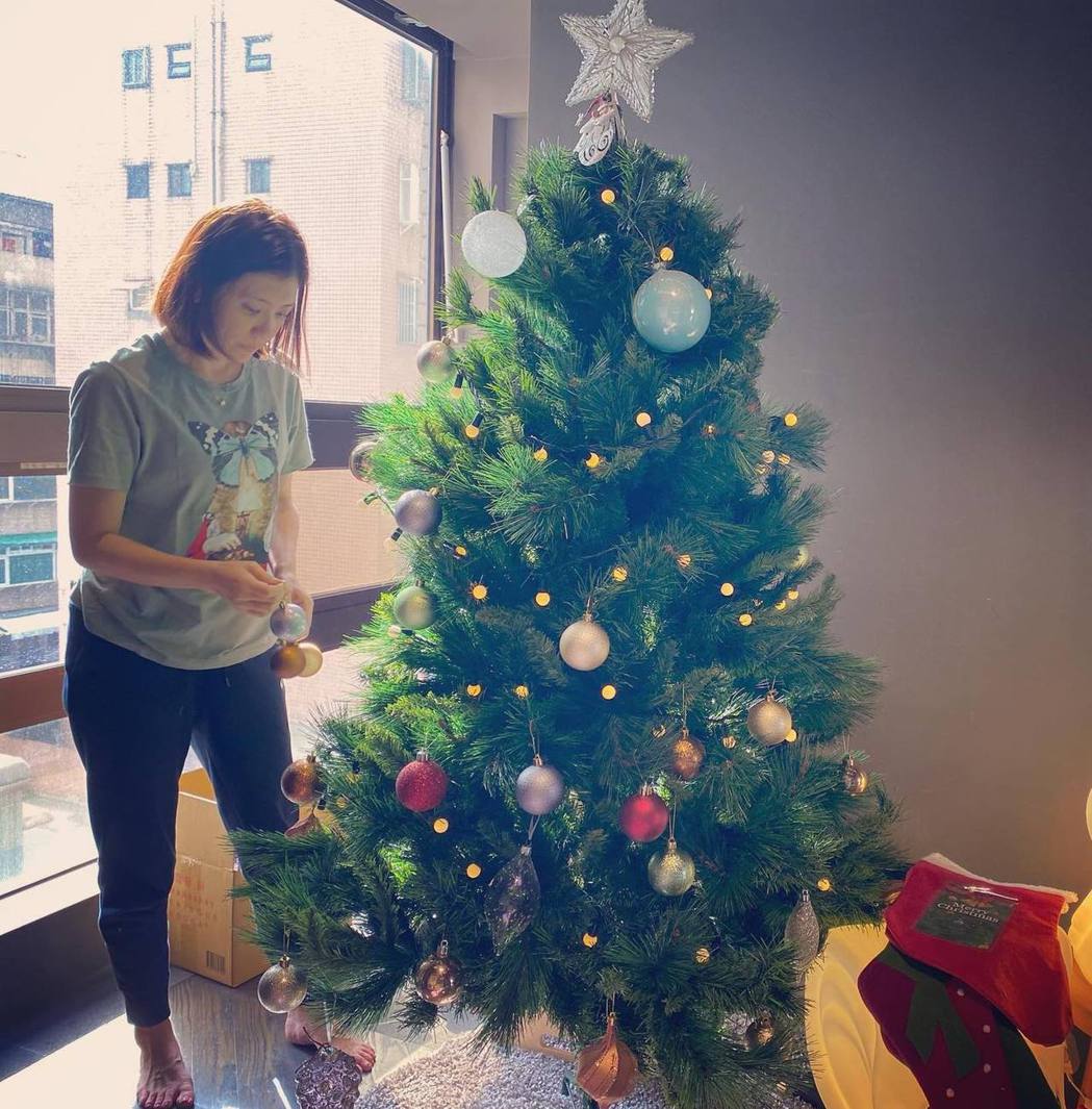 賈靜雯已在家中布置起耶誕樹。圖／摘自臉書