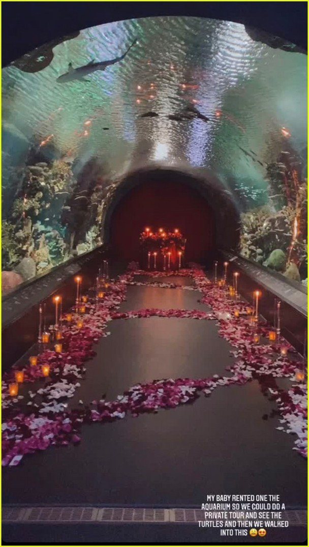 「黑豹」反派男星麥可B喬登在情人節當天包下一整個水族館向女友示愛。圖／摘自IG