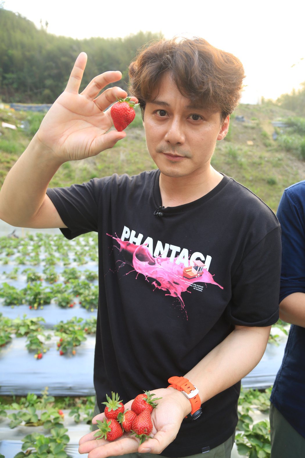 只要旅伴對了，採草莓也可以玩出新鮮感。圖／亞洲旅遊台提供