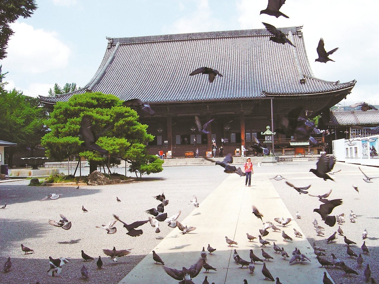 朱全斌以相機記載與韓良露每次的京都光景。 圖／有鹿文化提供