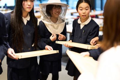拯救環境！日本培育女性養蜂人 推出蜜蜂學校教學計畫