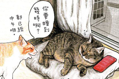 最傲嬌的貓「對大哥」來啦！日本暢銷48萬冊，給每日靠吸貓振作精神的你