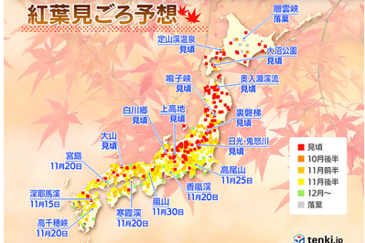 要去日本賞紅葉看過來  今年最佳賞楓時間表在這裡