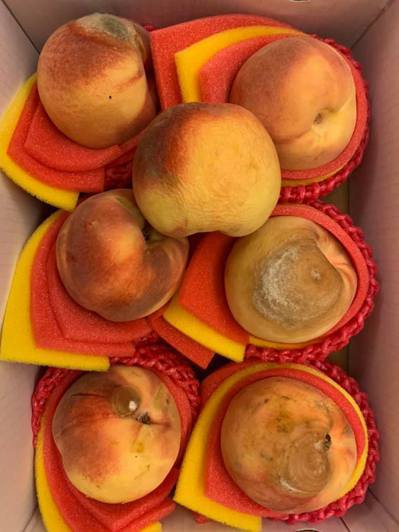 網友抱怨，買了一箱裝好的水蜜桃，回家後發現一顆將近300元的水蜜桃，竟然都爛掉、發霉，沒有一顆可以吃的。 圖／爆怨公社