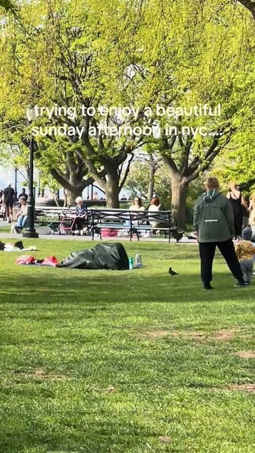 美国纽约炮台公园（Battery Park）草地上有1对男女公然「激战」。图／翻摄自TikTok