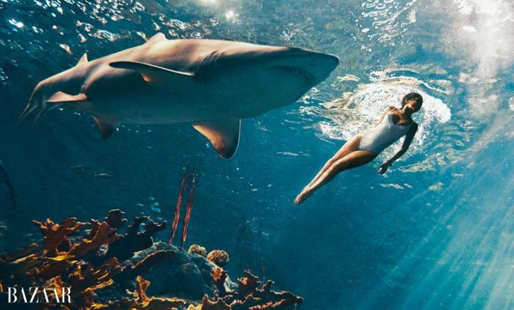 蕾哈娜近日受哈潑時尚誌邀請，和鯊魚一起拍照，成果更是有如驚悚片再現！話題十足。圖／擷自蕾哈娜twitter