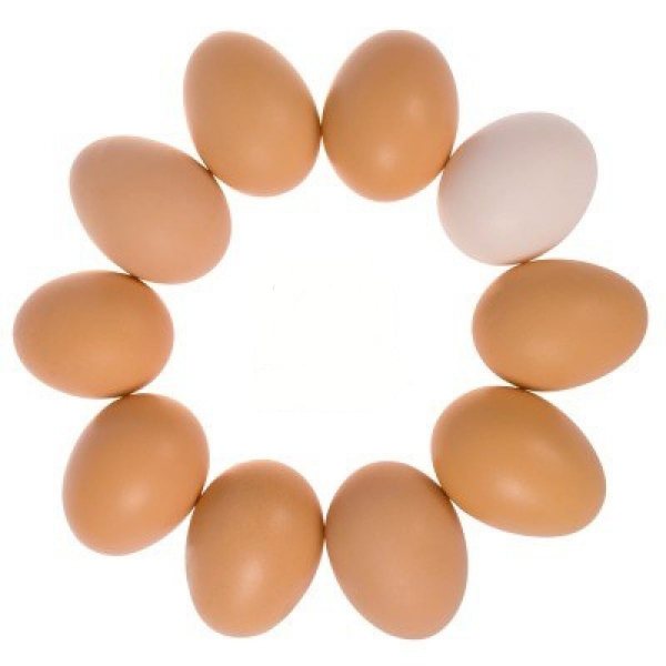 蛋除了是最多蛋白質含量的食物之外，還有胺基酸，能增強肌肉纖維，同時亦有飽腹感。嘗試每天吃1顆蛋，或1星期內吃7顆蛋吧！（高膽固醇者除外）圖／she.com Taiwan