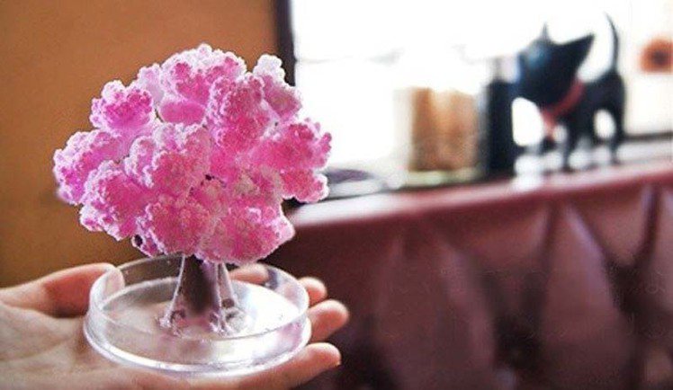 賽先生科學工廠推出的魔法櫻花，隨處都可體驗身處櫻花林中的浪漫，售價250元。圖／有．設計uDesign提供