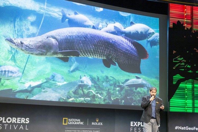2019年度勞力士雄才偉略大獎入圍者之一、巴西漁業生態學家João Campos‐Silva計畫復育世上體型最大的淡水魚巨骨舌魚，以促進其亞馬遜棲地的經濟。圖／勞力士提供