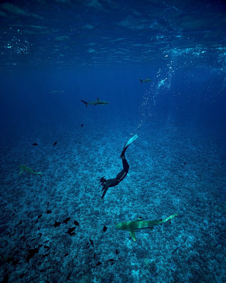 來自法國的Guillaume Néry是自由深潛水冠軍，並曾拍攝「One Breath Around The World」紀錄片。圖 / PANERAI提供。