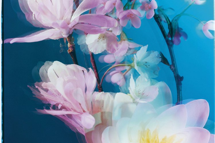 Jo Malone London推出2023東方花園系列香氛。圖／Jo Malone London提供