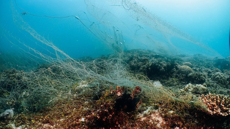 海洋廢棄物超過8成來自人類使用的塑膠製品不當處置所引起。圖／全聯福利中心提供