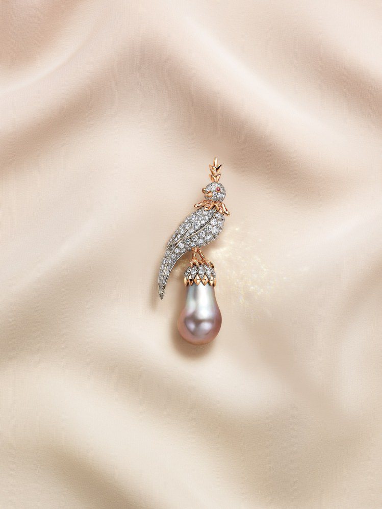 Jean Schlumberger by Tiffany石上鳥珍珠系列胸針，18K玫瑰金及鉑金鑲嵌淺灰色水滴形天然海水珍珠，香檳色鑽石，鑽石及紅寶石。圖／Tiffany提供
