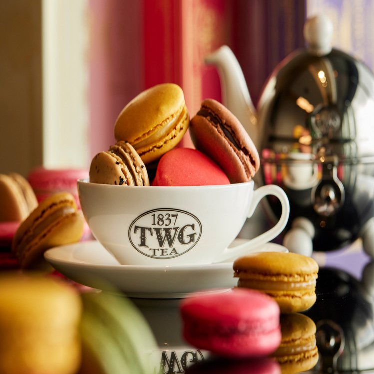 世界奢華茶葉品牌TWG Tea推出「一日限定活動」，3/20當天限量開搶6入盒裝茶香馬卡龍「買一送一」，全台精品門市每間限量50組。圖／TWG Tea提供