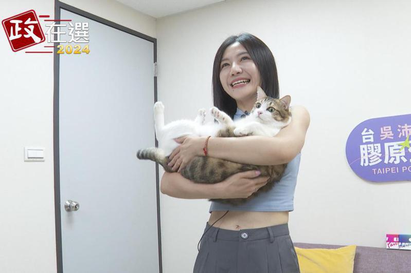吳沛憶認養了2隻貓，她笑說，一隻叫妹妹，一隻叫弟弟，因為她自己是姐姐。記者王彥鈞／攝影