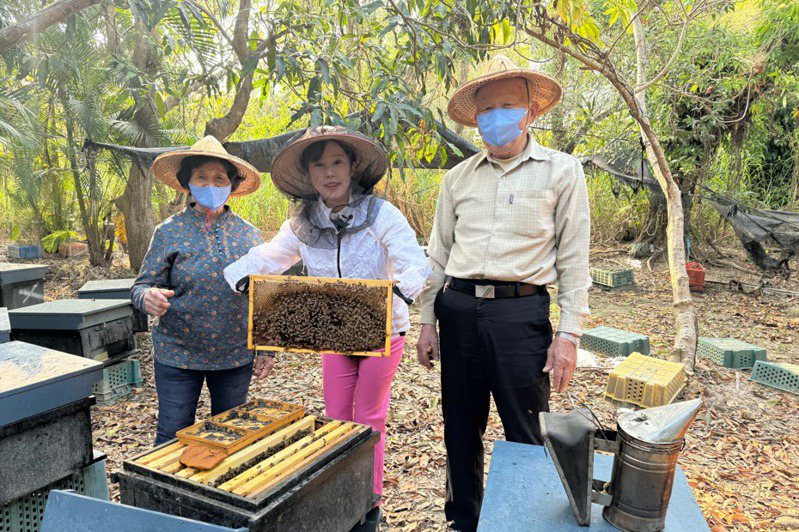 日本電視台主播馬場桃子（中）體驗採蜂蜜，感到相當新奇。圖／高雄市政府提供