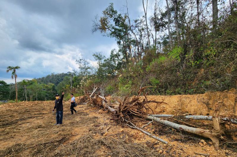 埔里農莊在南投埔里大規模開發案，遭地方指控濫伐山林；業者澄清是進行「次生林」整理，有助於土地保護和復育。圖／本報資料照