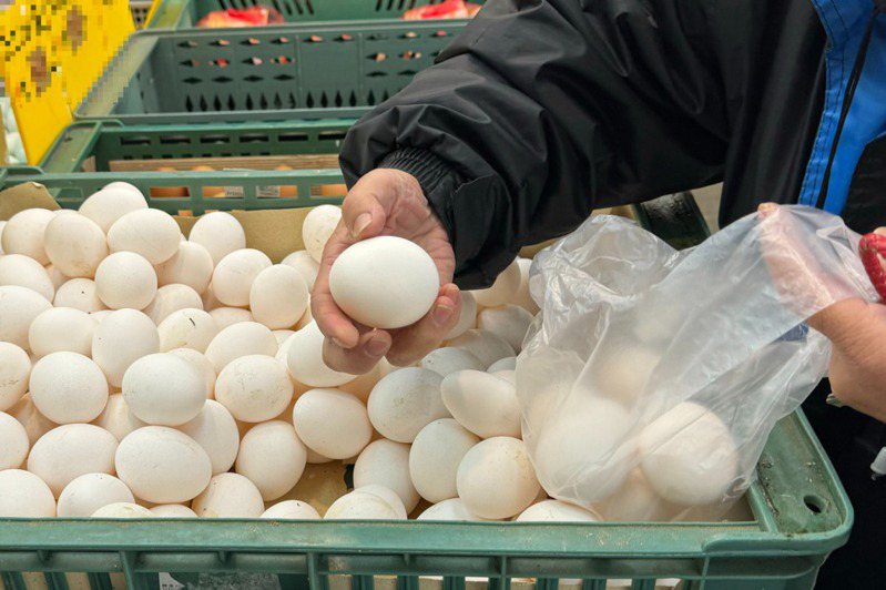 本周蛋價維持產地價每台斤35.5元、批發價每台斤45元。本報資料照片