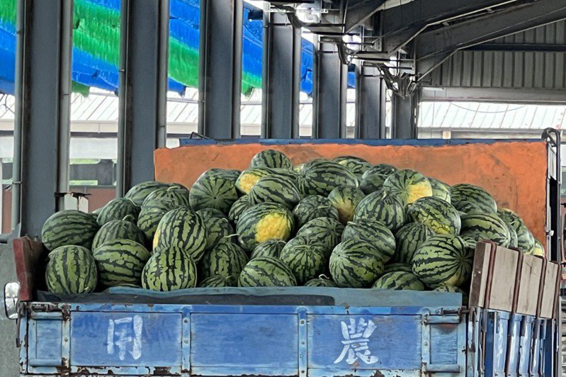雲林縣二崙鄉正值西瓜盛產季，農民採收後穿梭在街上或自強果菜市場販售。記者陳苡葳／攝影