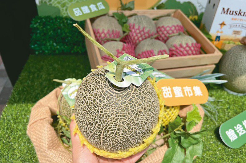 洋香瓜被歸類高級水果，近年新品種「卡蜜拉」在市場受到消費者歡迎，甚至要排隊搶購。記者陳雅玲／攝影