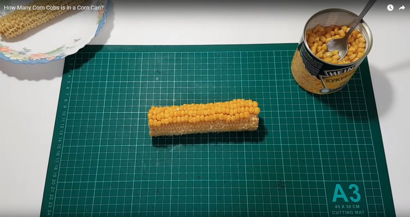 為了想知道玉米罐到底有多少根玉米，YouTuber做實驗解答。圖擷自歐洲麵包大展