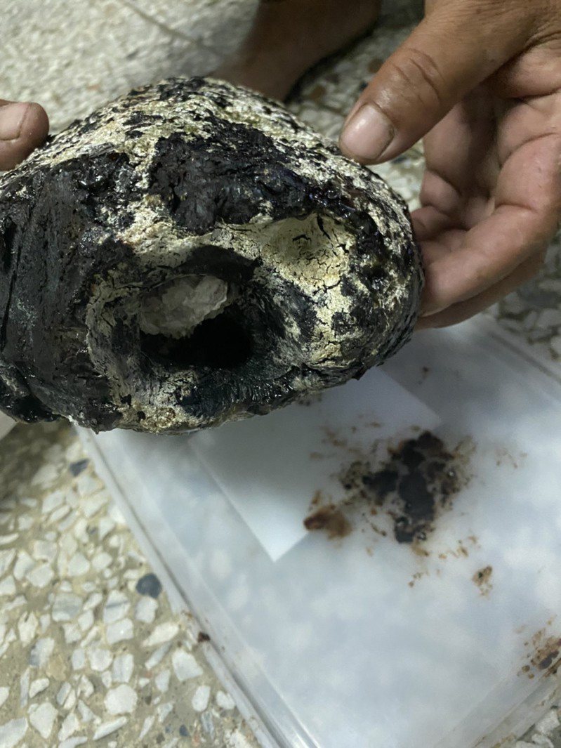 台東蘭嶼朗島村1名李姓男子，今年3月在海邊撿到一顆近4公斤的石頭，疑似為「龍涎香」。記者尤聰光／翻攝