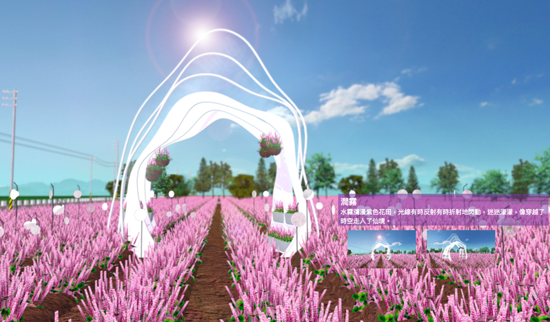 2020桃園仙草花節將於11/28日盛大展開，大片紫色花海宛如置身南法。 圖／桃園仙草花節官網
