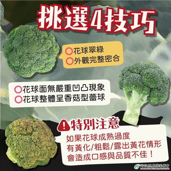 青花菜就是綠花椰菜 農委會教4挑選技巧3保存方法 生活新聞 生活 聯合新聞網