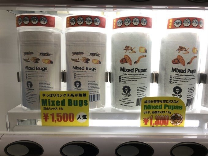 日本的昆虫零食贩卖机。图取自2ch(photo:UDN)