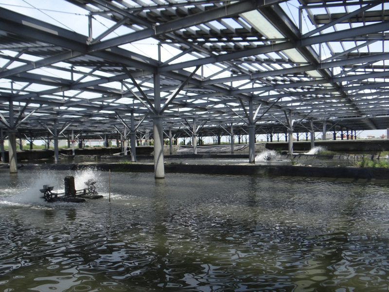漁電共生意外發現 太陽能板是魚塭冬天棉被 夏天陽傘 雲嘉南 地方 聯合新聞網