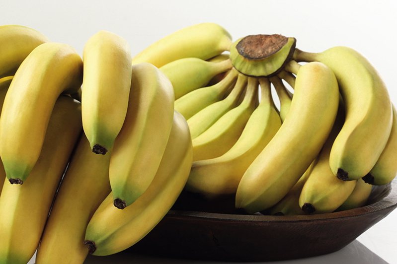 香蕉要挑彎的還是直的呢？有果農就透露兩種的差別，教導民眾不要挑錯了。 圖／聯合報系資料照片