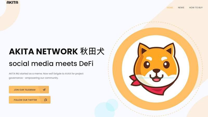 The picture shows the official website of Akita Dogcoin.  (Screenshot of official website)