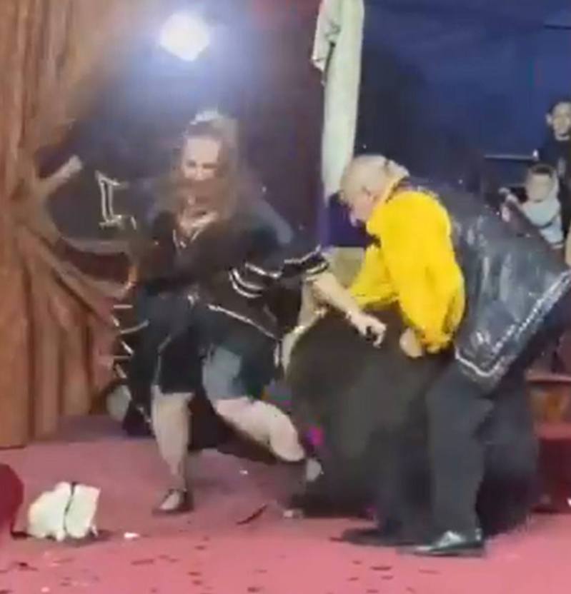 黑熊突然失控，扑向女驯兽师，还不断拉扯她的腿，又咬其黑色及膝裙。（影片截图）(photo:UDN)