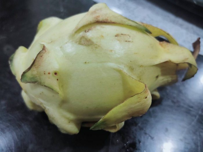 一名網友購買一顆35元的黃色火龍果，被網友戲稱猛看好像青蛙的肚肚。（翻攝自Dcard）