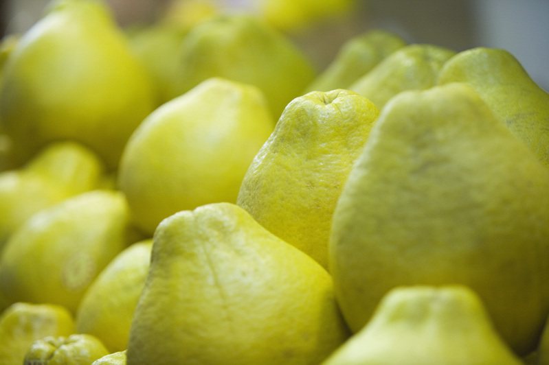 近日網路流傳一則「中秋禁忌」，內容稱千萬別將柚子拿去冷凍，引發話題。 示意圖／ingimage