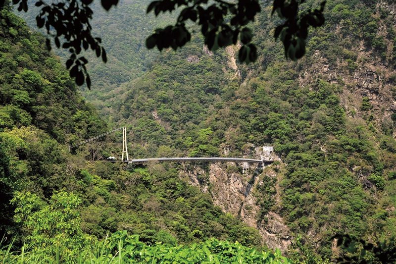位於布洛灣的山月吊橋（第4代），橫跨於立霧溪上，可觀覽太魯閣峽谷的深V景致。 攝影/CCC