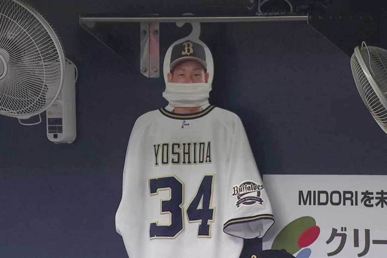 吉田正尚因骨折而整季報銷，日前歐力士球團將他的人形立牌放進休息區內，讓他的精神與球隊同在。 擷圖自太平洋聯盟TV推特