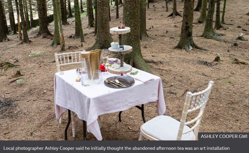 男在森林里发现神秘下午茶桌椅。图／取自(photo:UDN)