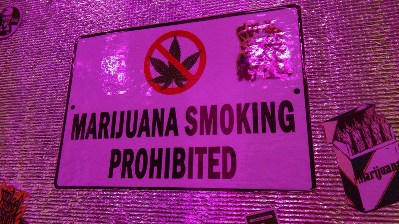 位于曼谷的420 Cannabis Bar是泰国第一间将大麻掺入饮品的饮料店，店家特别在墙上告示禁止顾客在店内抽大麻菸。中央社(photo:UDN)