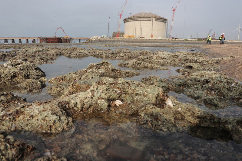 圖為大潭藻礁與施工中的中油天然氣第三接收站。圖／資料照片
