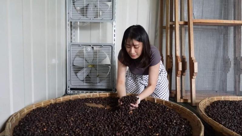 熱愛咖啡的許茹茵在嘉義市經營「里響咖啡」，擔任咖啡農與消費者間公平公正的平台，生產的每個程序都經過她把關。圖／許茹茵提供