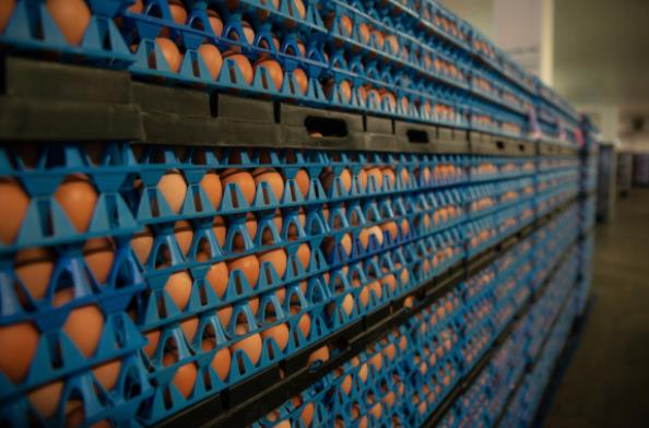 美国最大鸡蛋生产商Cal-Maine Foods表示，蛋价正在上涨，更多的食品通膨可能即将到来。撷自Cal-Maine Foods官网(photo:UDN)