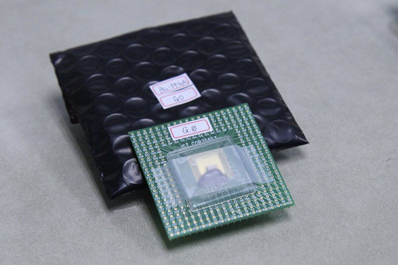 陽明交大研發的台積電微米生物晶片。圖／陽明交通大學提供