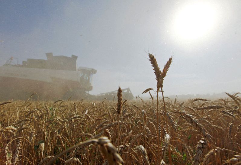 小麦连六天大涨后暴跌，因有乌克兰据报不再坚持加入北约。路透(photo:UDN)
