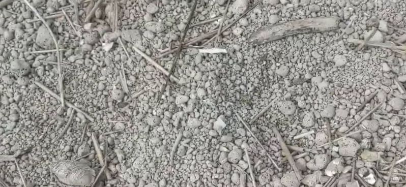 彰化縣環保聯盟發現大城鄉西港村海岸散落很多浮石。圖／環保聯盟提供