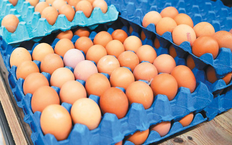 美国多处正在爆发禽流感疫情，蛋鸡大量死亡，造成鸡蛋供应吃紧。 （欧新社）(photo:UDN)