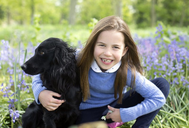 英国夏绿蒂公主2日过7岁生日，母亲凯特依照往例为她拍摄生日萌照，这次还有意外惊喜，王室新宠物狗「欧拉」(Orla)首度亮相。美联社(photo:UDN)